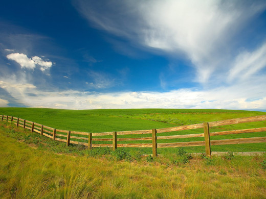 38587 (a): :1600x1200